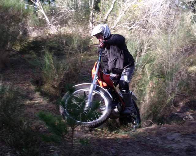 Melton honda #4
