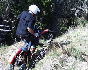 Classic Trials at Cust Classic Trials at Cust